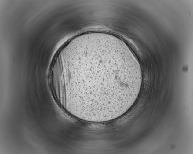 X0000099461466200806061118