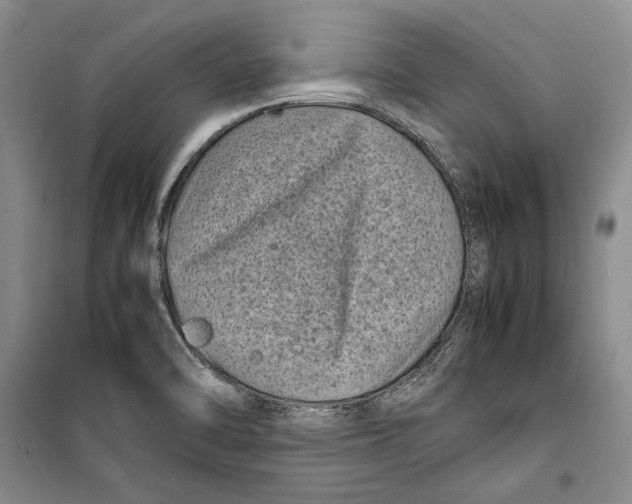 X0000099461470200806061117