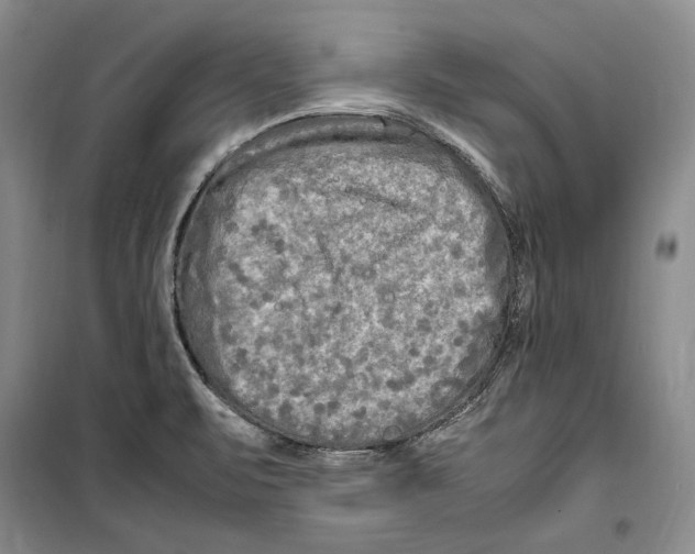 X0000099461471200806061117