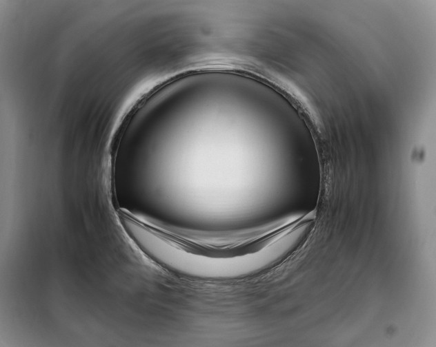 X0000099461472200806061117