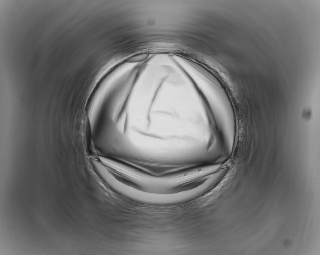 X0000099461473200806061117