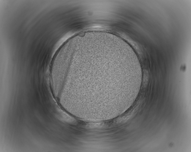 X0000099461474200806061117