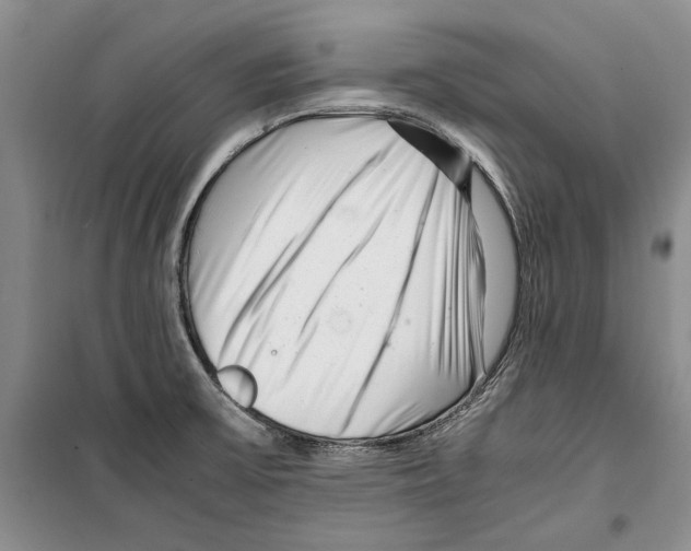 X0000099461475200806061117