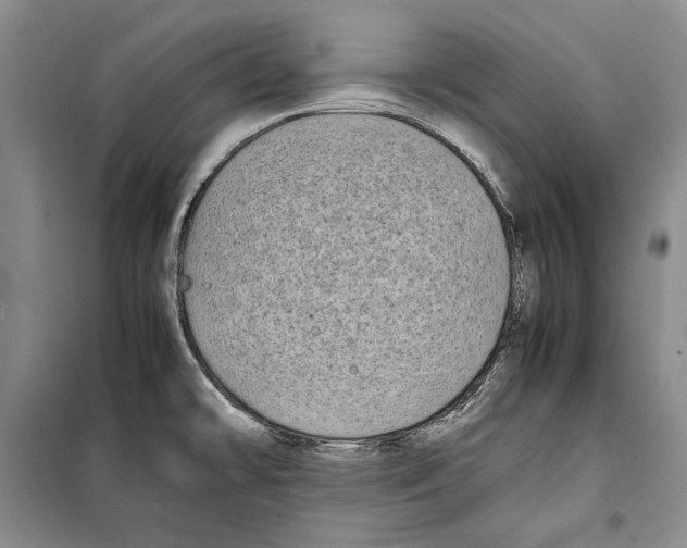 X0000099461478200806061117