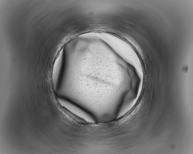 X0000099461481200806061117