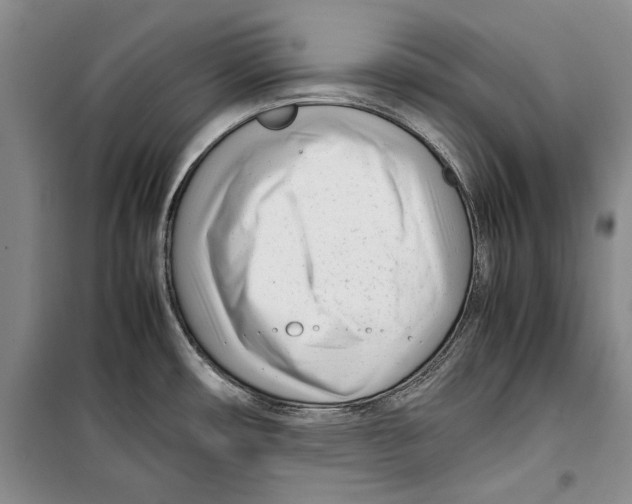 X0000099461482200806061117