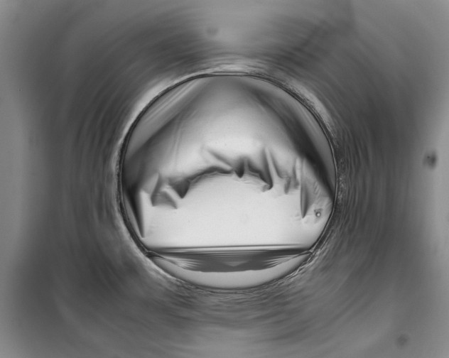 X0000099461483200806061117