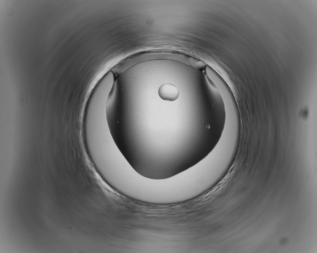 X0000099461485200806061117