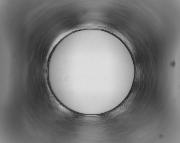 X0000099461486200806061117