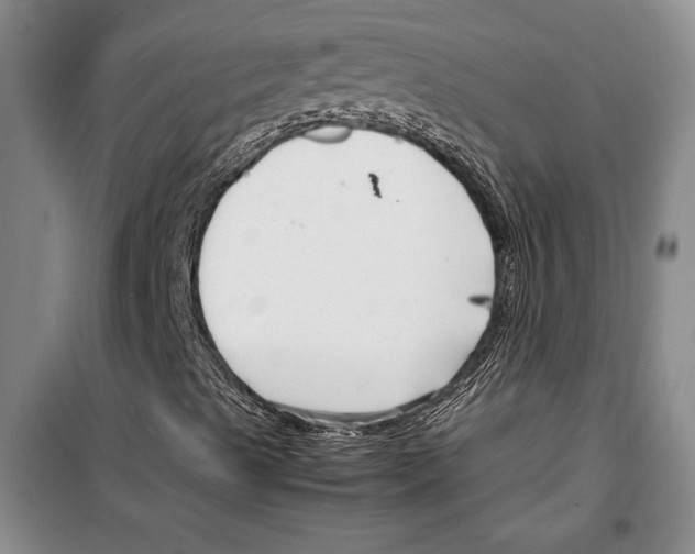 X0000099461489200806061117