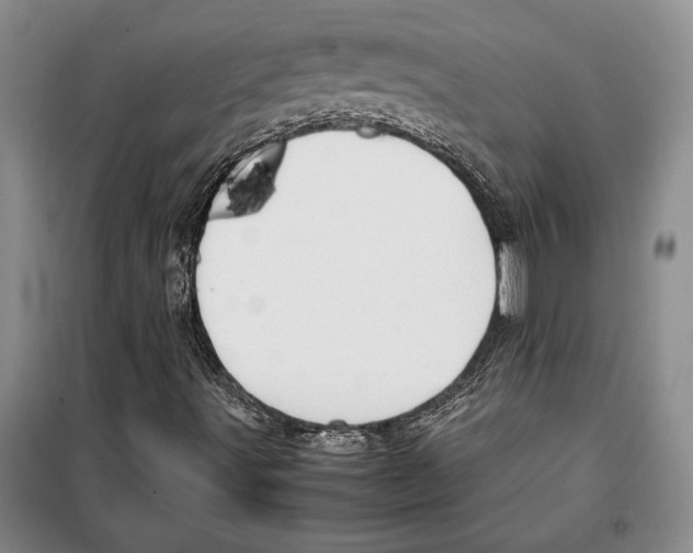 X0000099461491200806061117