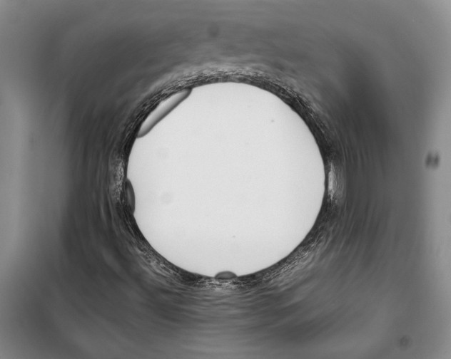 X0000099461492200806061117