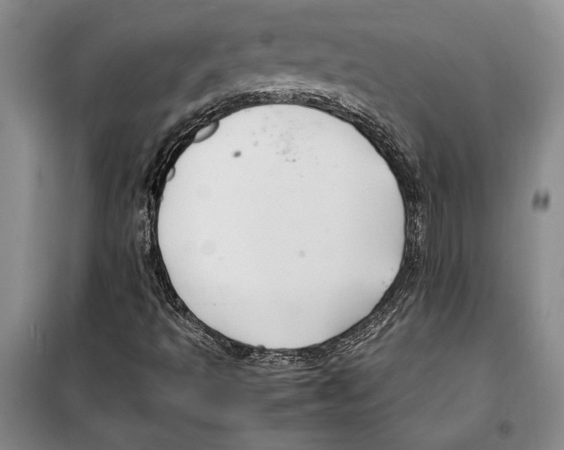 X0000099461493200806061117