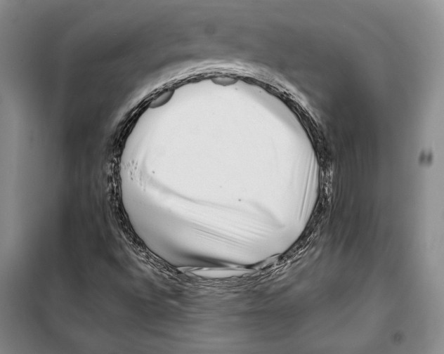 X0000099461496200806061117