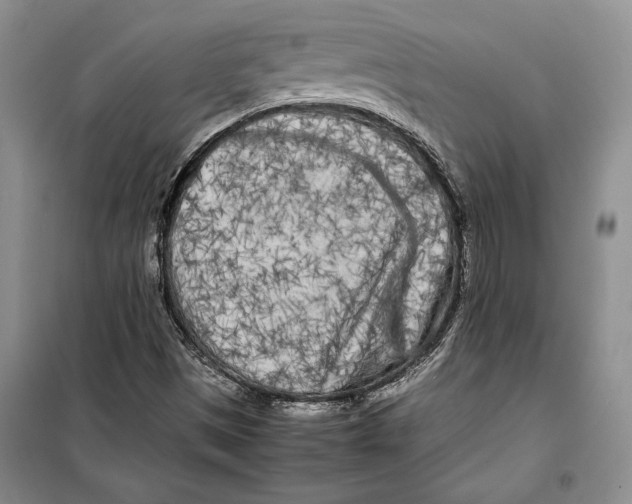 X0000099461497200806061117