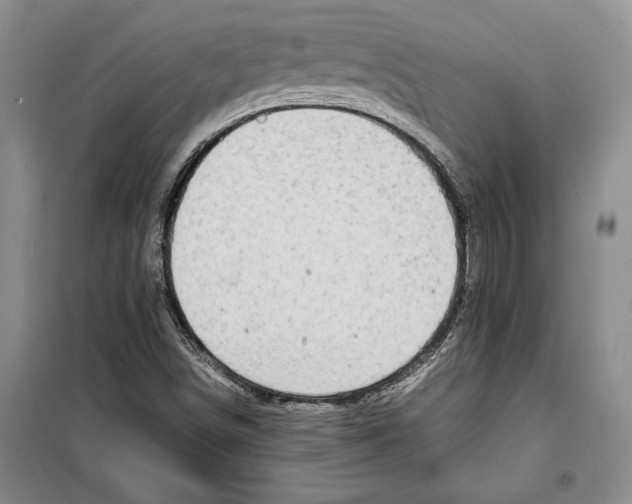 X0000099461498200806061117