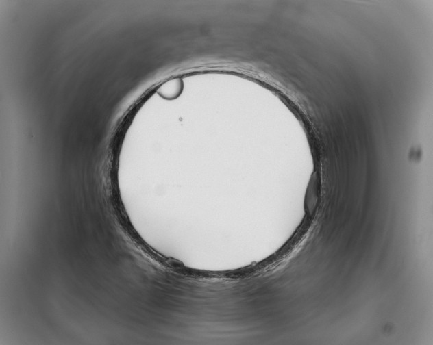 X0000099461502200806061117