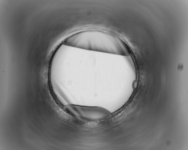 X0000099461504200806061117