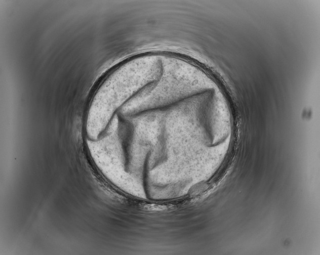 X0000099461505200806061117