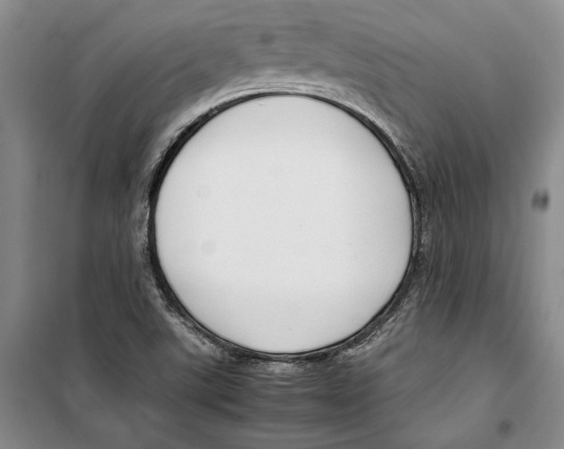 X0000099461507200806061117