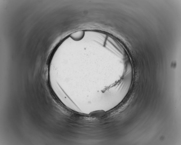 X0000099461509200806061117