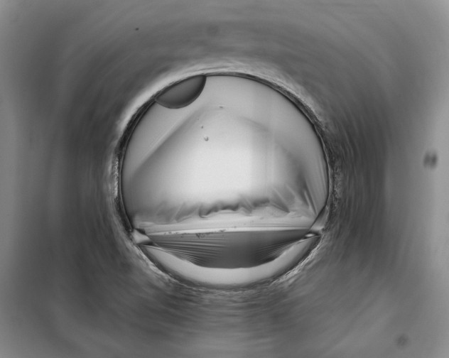 X0000099461510200806061117