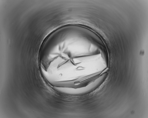 X0000099461513200806061117