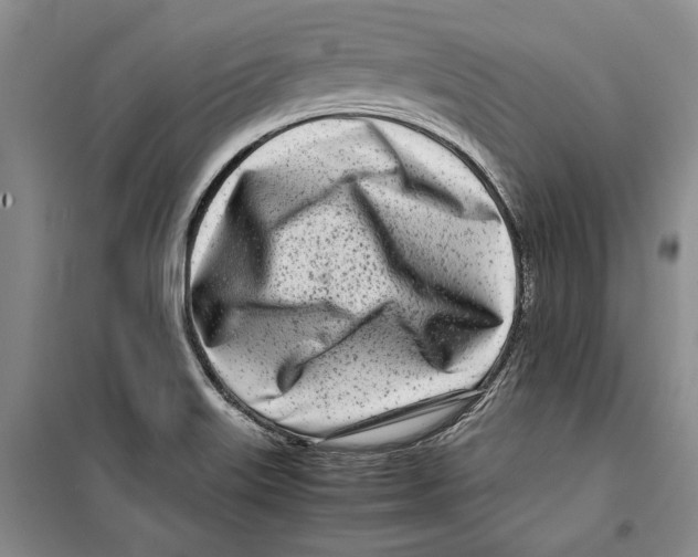 X0000099461515200806061117