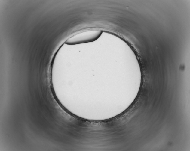 X0000099461516200806061117