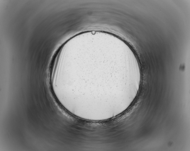 X0000099461517200806061117