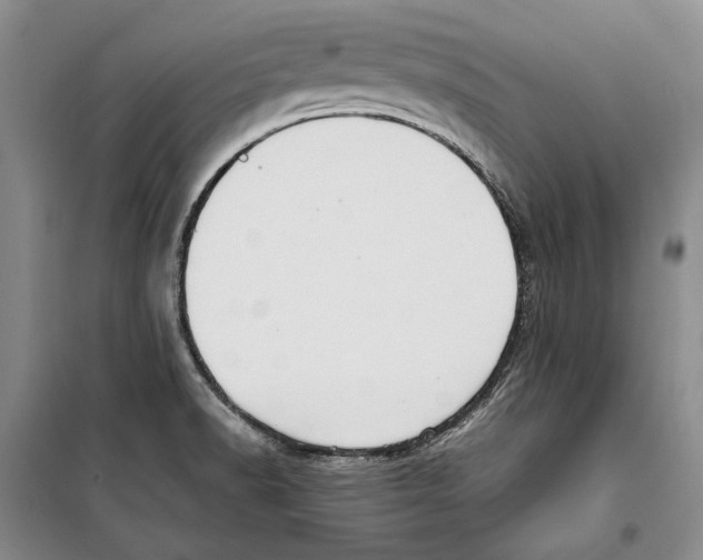 X0000099461518200806061117