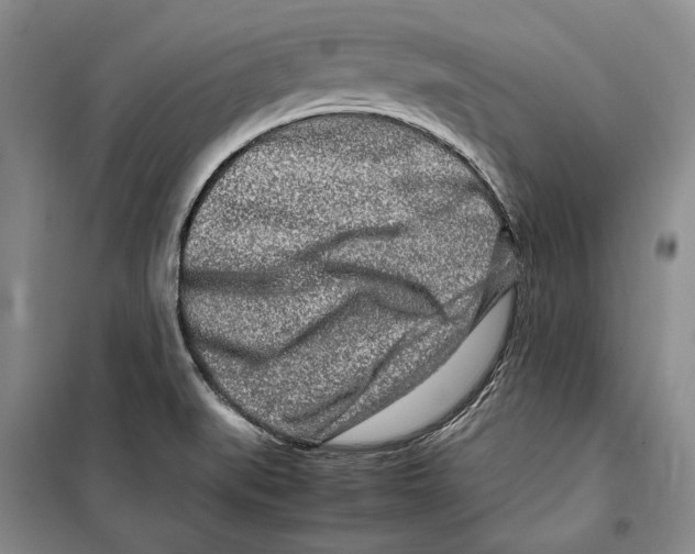 X0000099461519200806061117