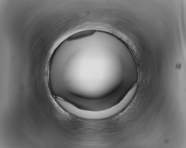 X0000099461520200806061117