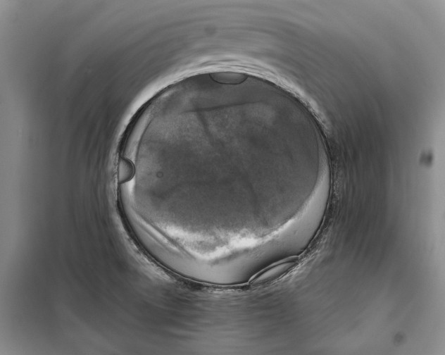 X0000099461522200806061117