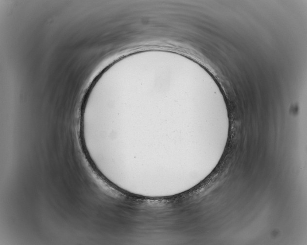 X0000099461523200806061117