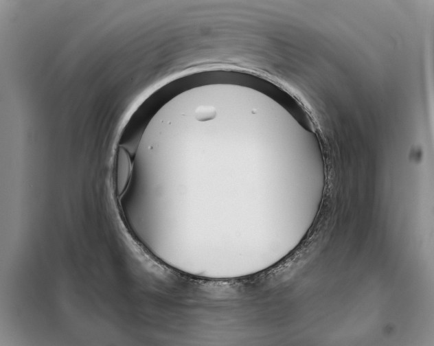 X0000099461524200806061117