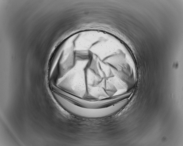 X0000099461525200806061117