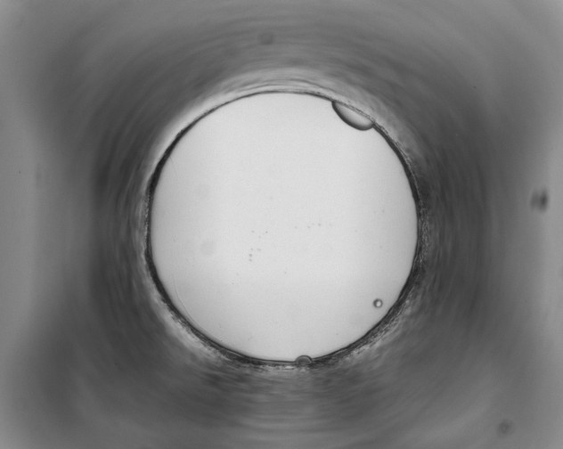 X0000099461526200806061117