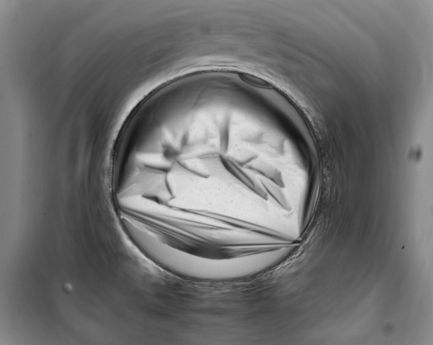 X0000099461527200806061117