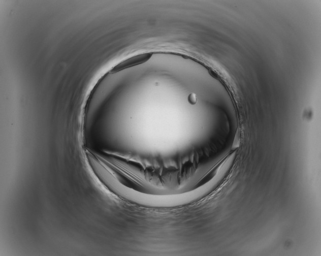 X0000099461528200806061117