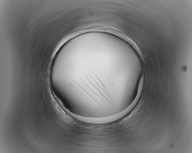 X0000099461530200806061117