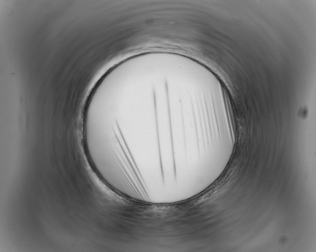 X0000099461531200806061117