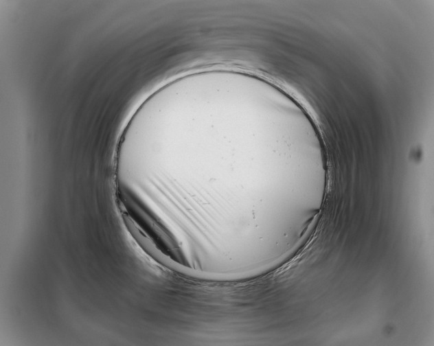 X0000099461532200806061117