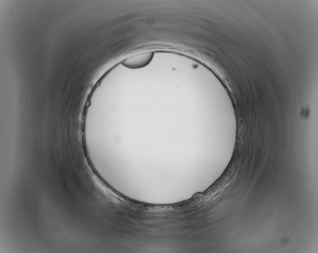 X0000099461535200806061117