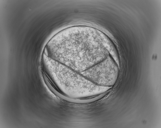 X0000099461536200806061117