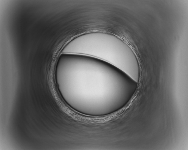 X0000099470001200805090822