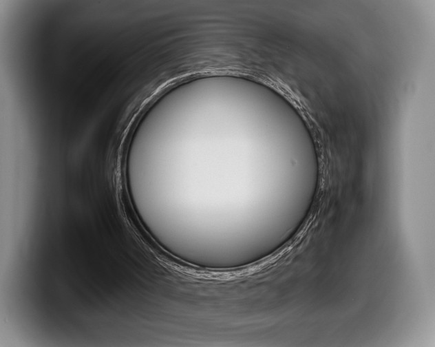 X0000099470002200805090822