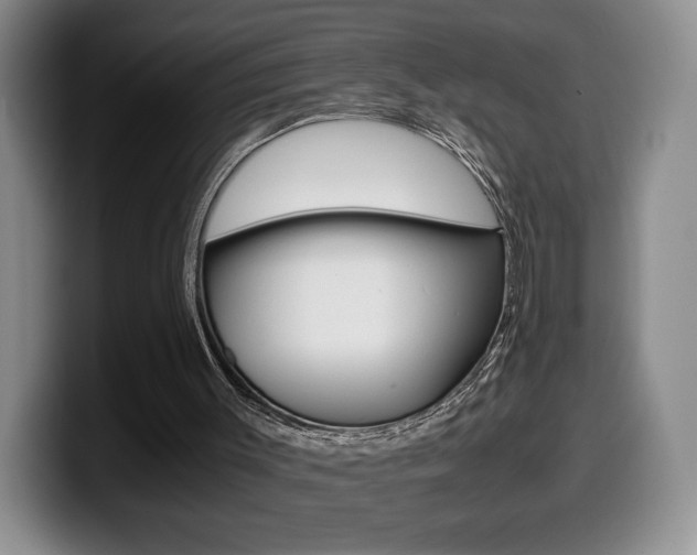X0000099470003200805090822