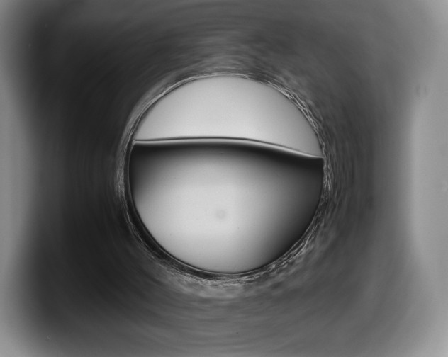X0000099470004200805090822