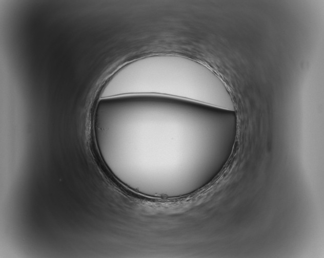 X0000099470005200805090822